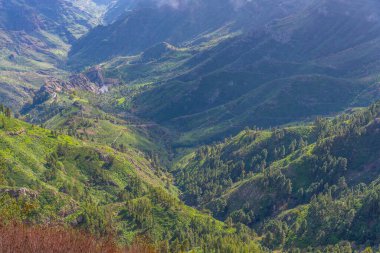 La Gomera Panoraması Alto de Garajonay, Kanarya Adaları, İspanya.