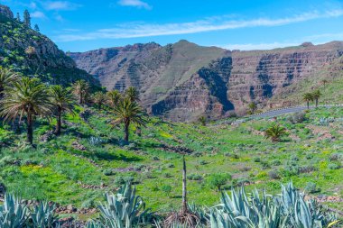 İspanya, Kanarya Adaları, La Gomera 'daki Valle Gran Rey Vadisi' nin havadan görünüşü.
