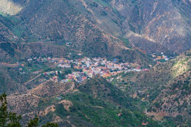 Laurisilva yağmur ormanlarından geçen yol La Gomera, Kanarya Adaları 'ndaki Garajonay Ulusal Parkı, İspanya.