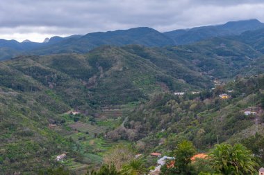 La Gomera adasını kaplayan orman, Kanarya Adaları, İspanya.