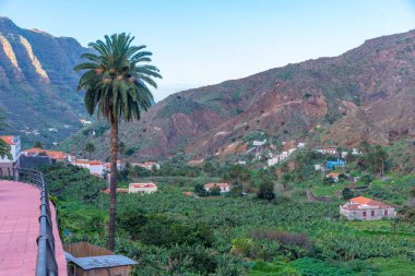 Vallehermoso 'daki muzlar, La Gomera, Kanarya Adaları, İspanya.