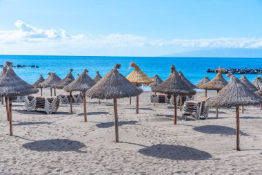 Playa del Camison, Tenerife, Kanarya Adaları, İspanya.