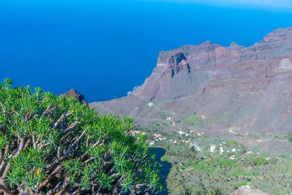 Widok Lotu Ptaka Barranco Taguluche Gomera Wyspy Kanaryjskie Hiszpania — Zdjęcie stockowe