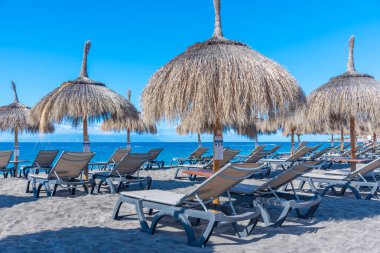 Playa de Fanabe 'deki şempanzeler Tenerife, Kanarya Adaları, İspanya.