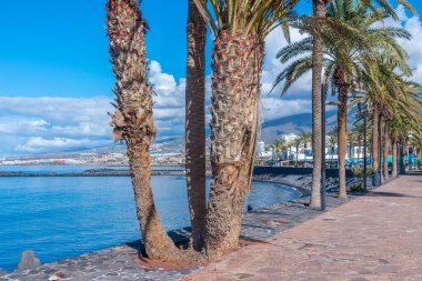 Playa de las Americas, Tenerife, Kanarya Adaları, İspanya.