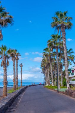 Los Cristianos, Tenerife, Kanarya Adaları, İspanya.