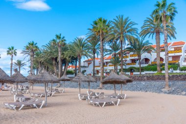 Playa del Camison, Tenerife, Kanarya Adaları, İspanya.