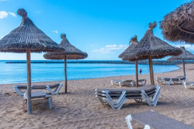 Playa del Camison, Tenerife, Kanarya Adaları, İspanya.