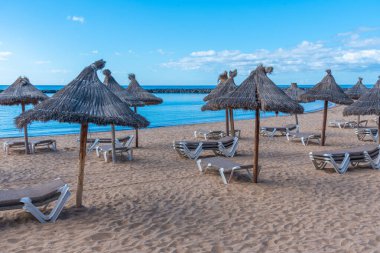 Playa del Camison, Tenerife, Kanarya Adaları, İspanya.