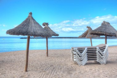 Playa del Camison, Tenerife, Kanarya Adaları, İspanya.