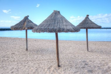 Playa del Camison, Tenerife, Kanarya Adaları, İspanya.