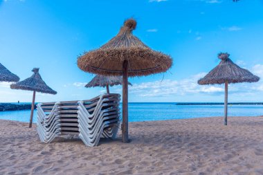 Playa del Camison, Tenerife, Kanarya Adaları, İspanya.