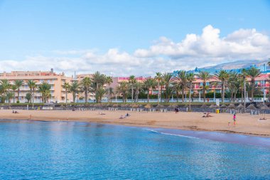Playa del Camison, Tenerife, Kanarya Adaları, İspanya.