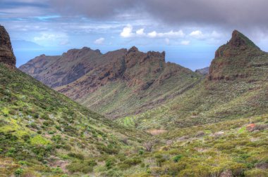 Masca Vadisi 'nin Tenerife, Kanarya Adaları, İspanya.
