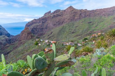 Masca köyü Tenerife, Kanarya Adaları, İspanya 'da pitoresk bir vadide yer almaktadır..