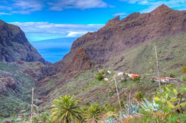 Masca köyü Tenerife, Kanarya Adaları, İspanya 'da pitoresk bir vadide yer almaktadır..