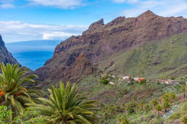 Masca köyü Tenerife, Kanarya Adaları, İspanya 'da pitoresk bir vadide yer almaktadır..