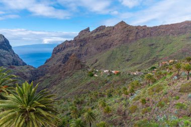 Masca köyü Tenerife, Kanarya Adaları, İspanya 'da pitoresk bir vadide yer almaktadır..