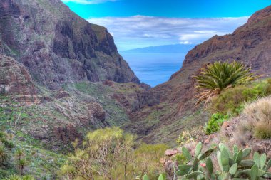 Masca Vadisi 'nin Tenerife, Kanarya Adaları, İspanya.