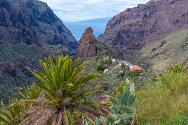 Masca Vadisi 'nin Tenerife, Kanarya Adaları, İspanya.
