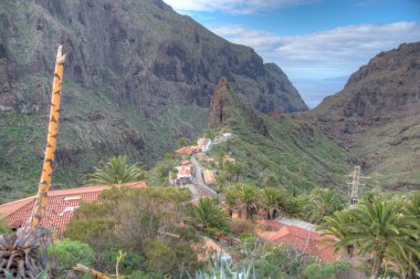 Masca köyü Tenerife, Kanarya Adaları, İspanya 'da pitoresk bir vadide yer almaktadır..