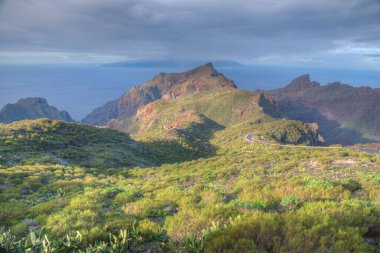 Masca Vadisi 'nin Tenerife, Kanarya Adaları, İspanya.