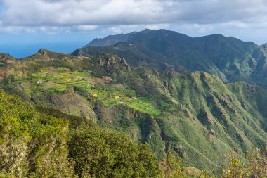 İspanya, Kanarya Adaları 'ndaki Anaga dağlarında Tenerife' nin tarım manzarası.
