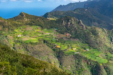 İspanya, Kanarya Adaları 'ndaki Anaga dağlarında Tenerife' nin tarım manzarası.
