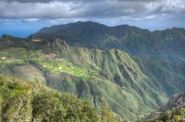İspanya, Kanarya Adaları 'ndaki Anaga dağlarında Tenerife' nin tarım manzarası.