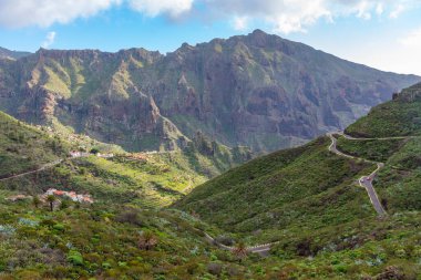 Masca köyü Tenerife, Kanarya Adaları, İspanya 'da pitoresk bir vadide yer almaktadır..