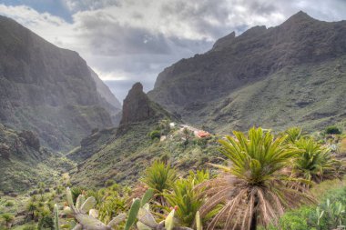 Masca köyü Tenerife, Kanarya Adaları, İspanya 'da pitoresk bir vadide yer almaktadır..