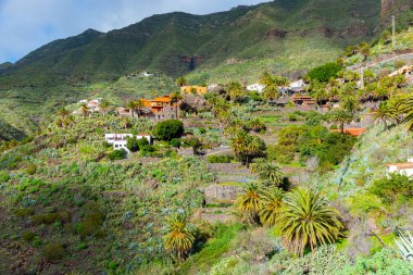Masca köyü Tenerife, Kanarya Adaları, İspanya 'da pitoresk bir vadide yer almaktadır..