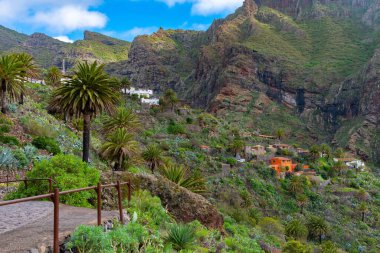 Masca köyü Tenerife, Kanarya Adaları, İspanya 'da pitoresk bir vadide yer almaktadır..