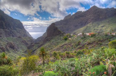 Masca köyü Tenerife, Kanarya Adaları, İspanya 'da pitoresk bir vadide yer almaktadır..