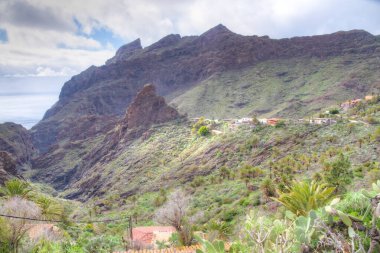 Masca köyü Tenerife, Kanarya Adaları, İspanya 'da pitoresk bir vadide yer almaktadır..