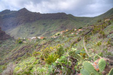 Masca köyü Tenerife, Kanarya Adaları, İspanya 'da pitoresk bir vadide yer almaktadır..