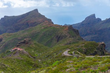 Masca Vadisi 'nin Tenerife, Kanarya Adaları, İspanya.