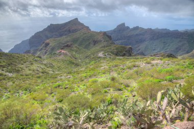 Masca Vadisi 'nin Tenerife, Kanarya Adaları, İspanya.
