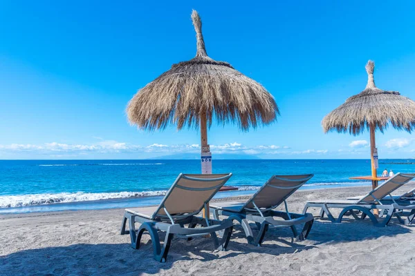Playa de Fanabe 'deki şempanzeler Tenerife, Kanarya Adaları, İspanya.
