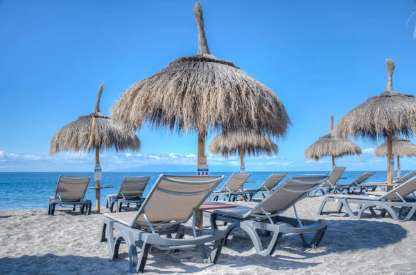 Playa de Fanabe 'deki şempanzeler Tenerife, Kanarya Adaları, İspanya.