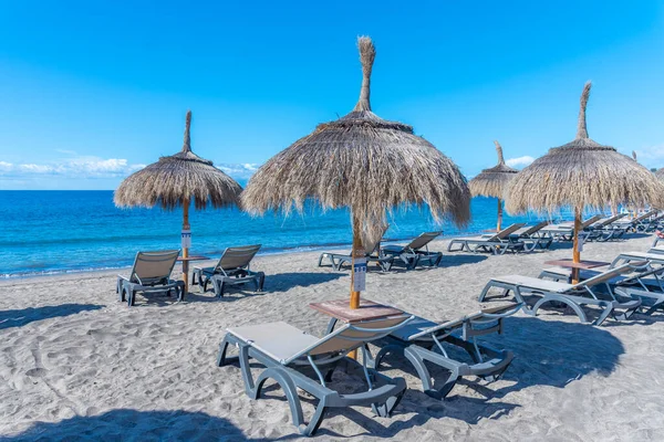 Playa de Fanabe 'deki şempanzeler Tenerife, Kanarya Adaları, İspanya.