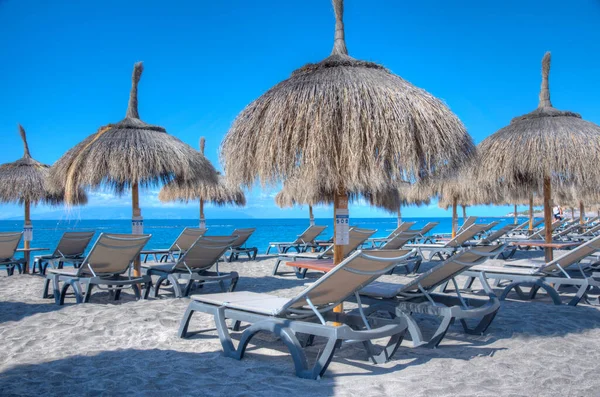 Playa de Fanabe 'deki şempanzeler Tenerife, Kanarya Adaları, İspanya.