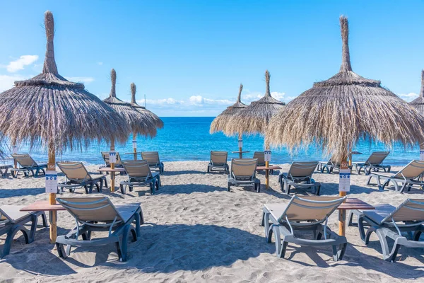 Playa de Fanabe 'deki şempanzeler Tenerife, Kanarya Adaları, İspanya.