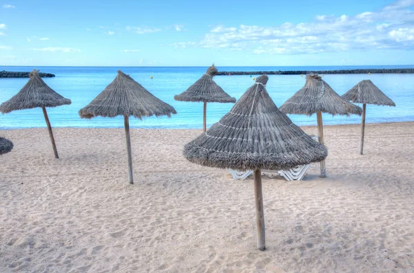 Playa del Camison, Tenerife, Kanarya Adaları, İspanya.