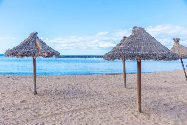 Playa del Camison, Tenerife, Kanarya Adaları, İspanya.