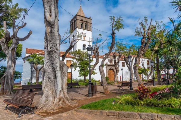Icod de los Vinos, Tenerife, Kanarya Adaları, İspanya 'daki eski kasabada Belediye Başkanı de San Marcos Kilisesi.