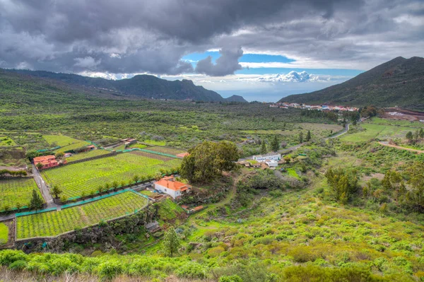 Arriba Valley Tenerife Kanárské Ostrovy Španělsko — Stock fotografie