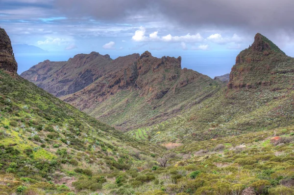Masca Vadisi 'nin Tenerife, Kanarya Adaları, İspanya.