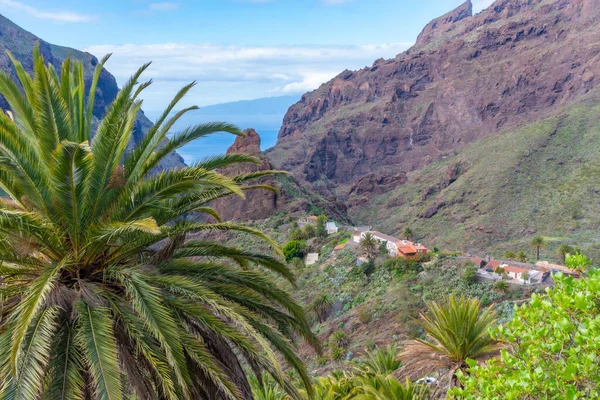Masca köyü Tenerife, Kanarya Adaları, İspanya 'da pitoresk bir vadide yer almaktadır..