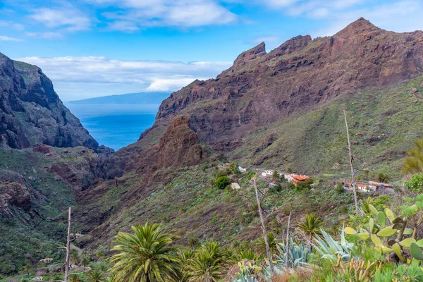 Masca köyü Tenerife, Kanarya Adaları, İspanya 'da pitoresk bir vadide yer almaktadır..